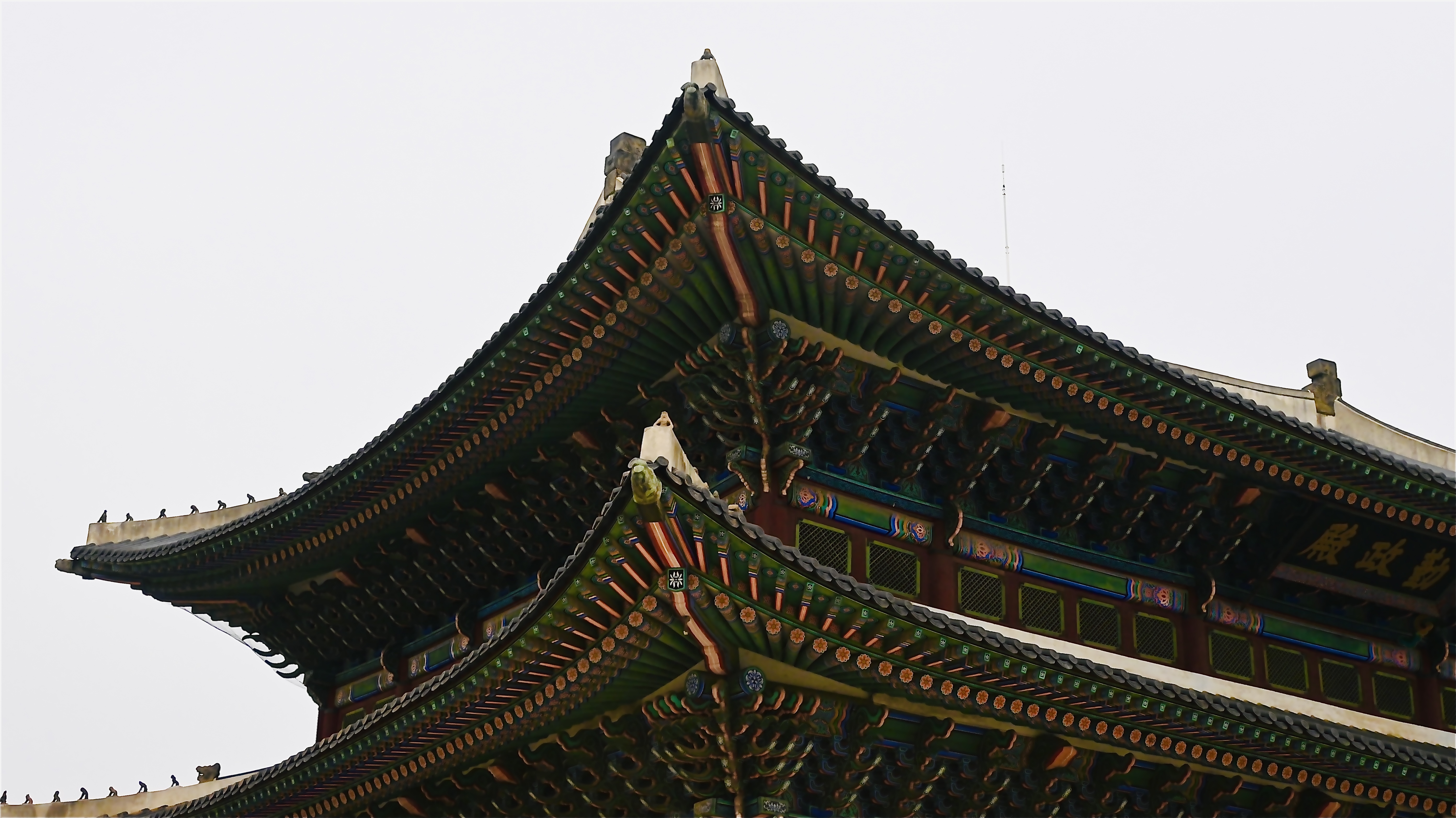 마흔세 번째 사진