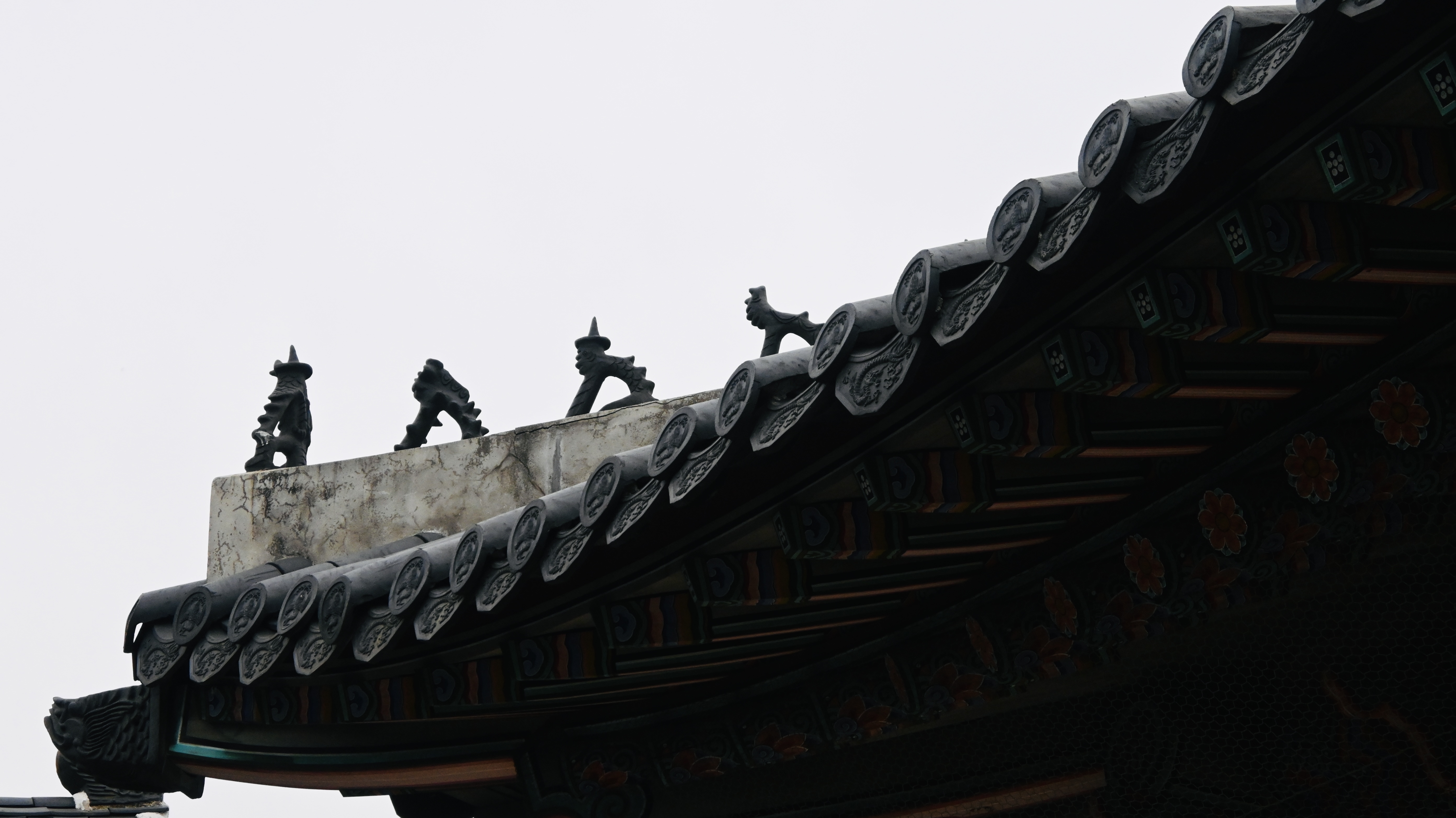 마흔여섯 번째 사진