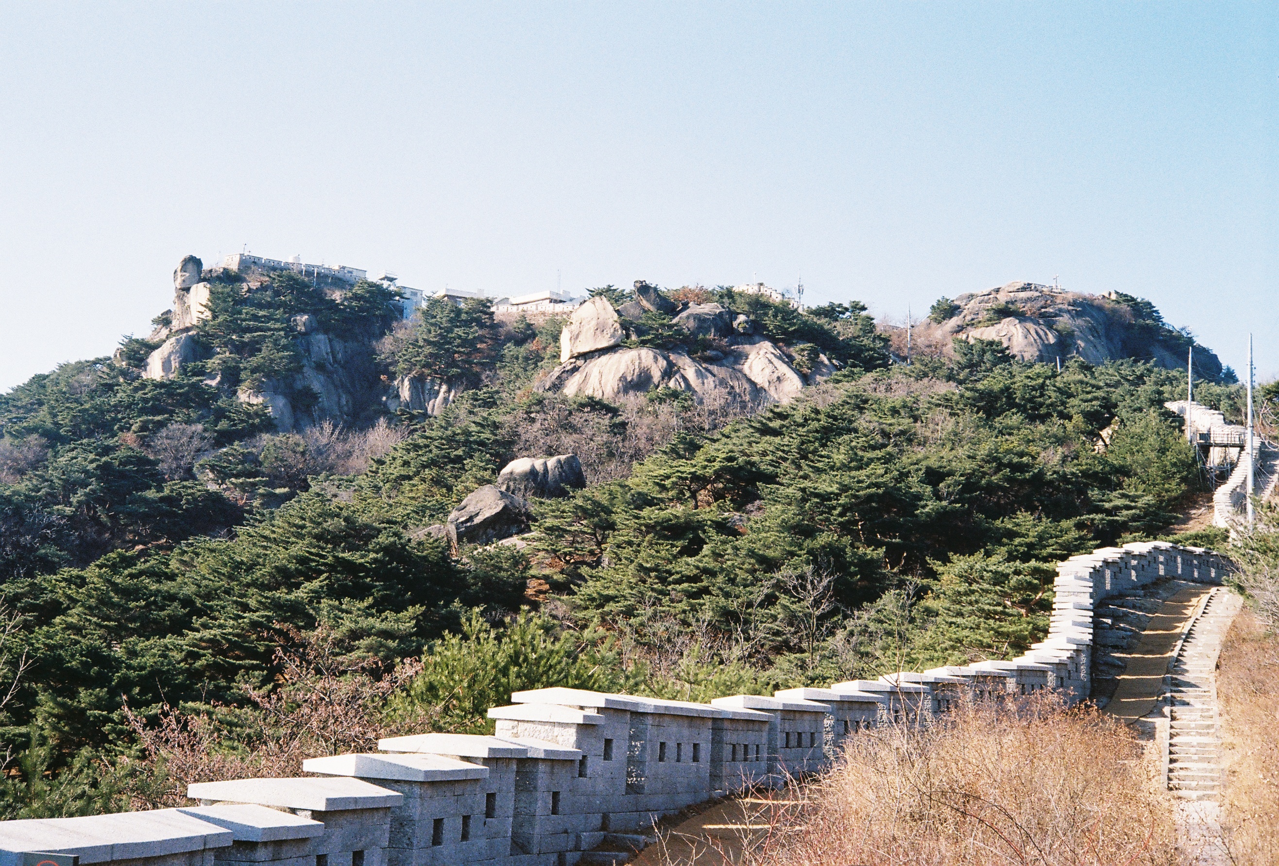 일곱 번째 필름 사진